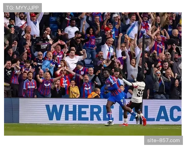 水晶宫定位球失球12次 防守漏洞成保级隐忧